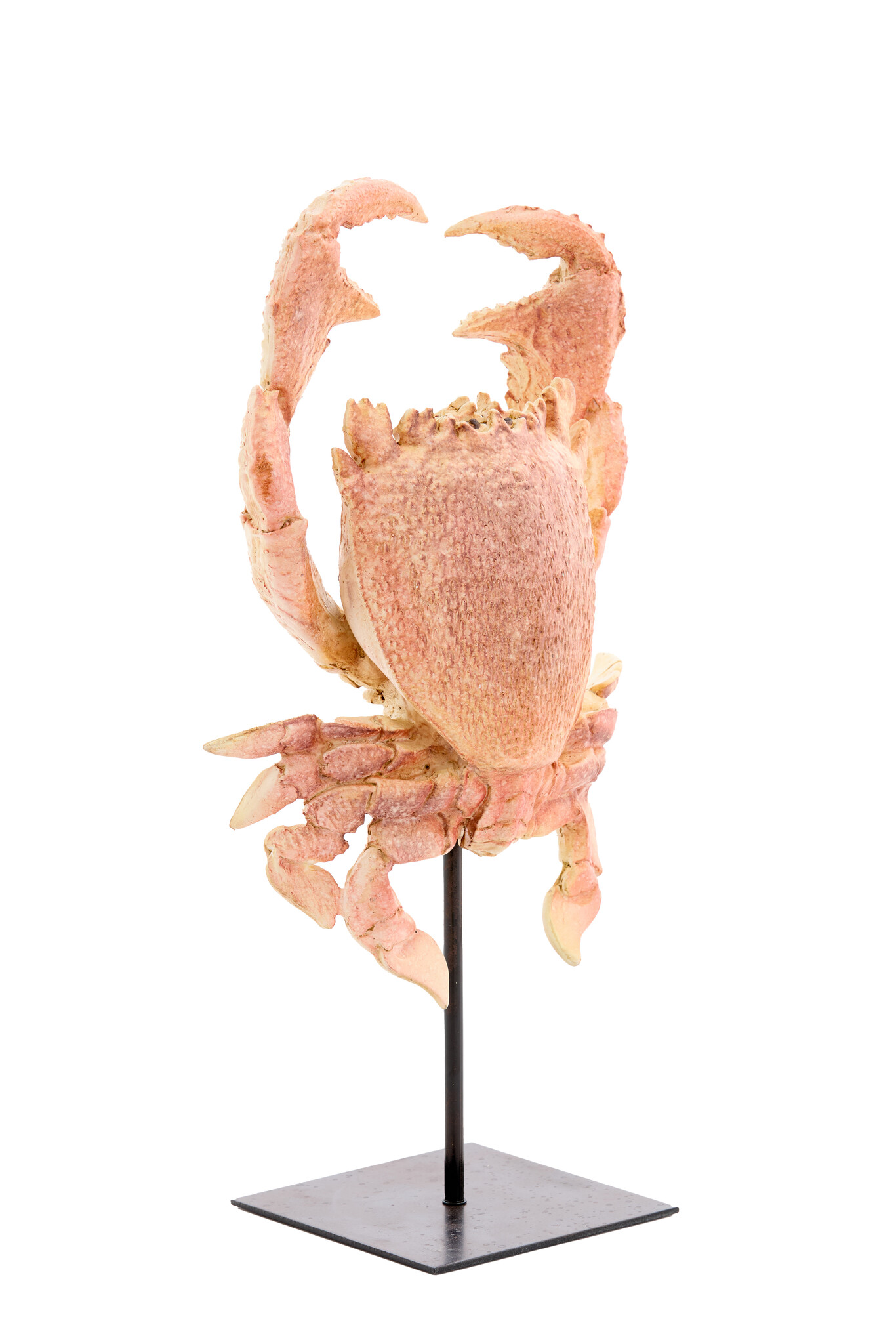 Light & Living - Ornament CRAB - 23x12.5x42.5cm - Oranje