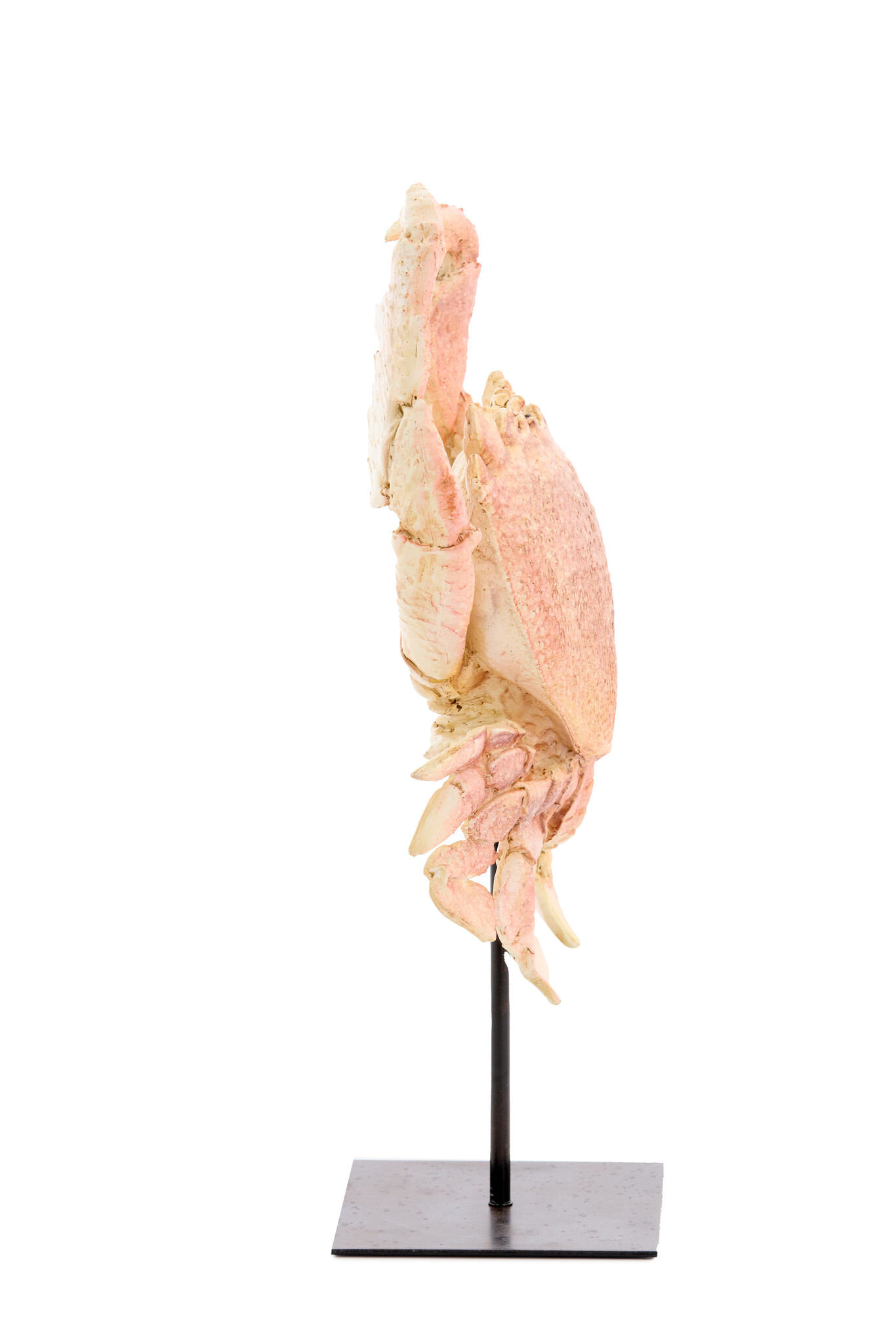 Light & Living - Ornament CRAB - 23x12.5x42.5cm - Oranje