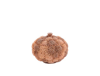 Light & Living - Deco box+deksel CORAL - Ø20x15.5cm - Bruin