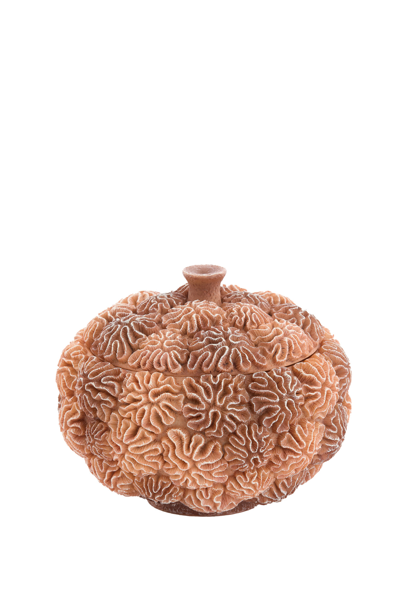 Light & Living - Deco box+deksel CORAL - Ø20x15.5cm - Bruin