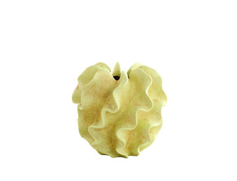 Light & Living - Vaas SHARUNA - Ø32.5x31cm - Groen