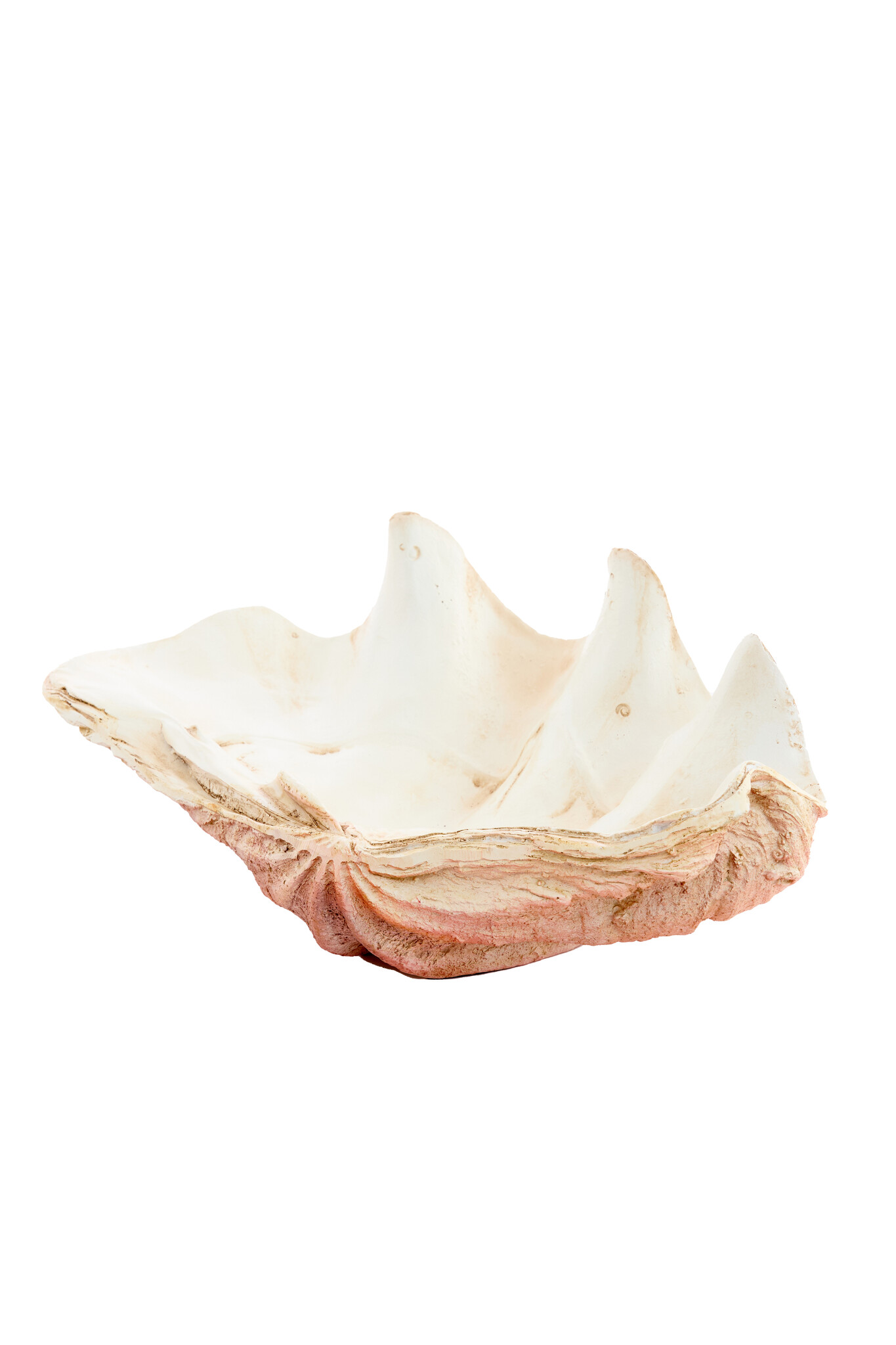 Light & Living - Ornament SHELL - 41x25x17cm - Oranje