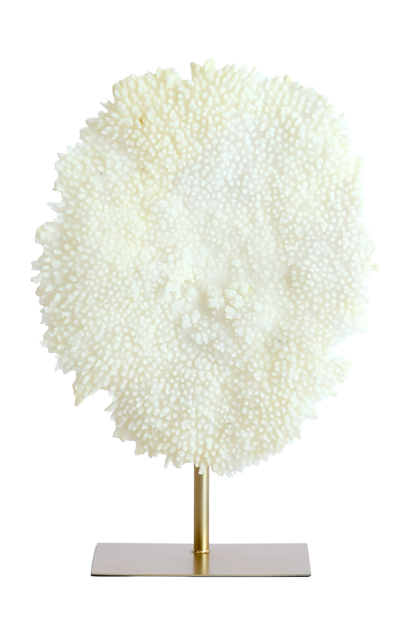 Light & Living - Ornament CORAL - 46x20x69cm - Wit