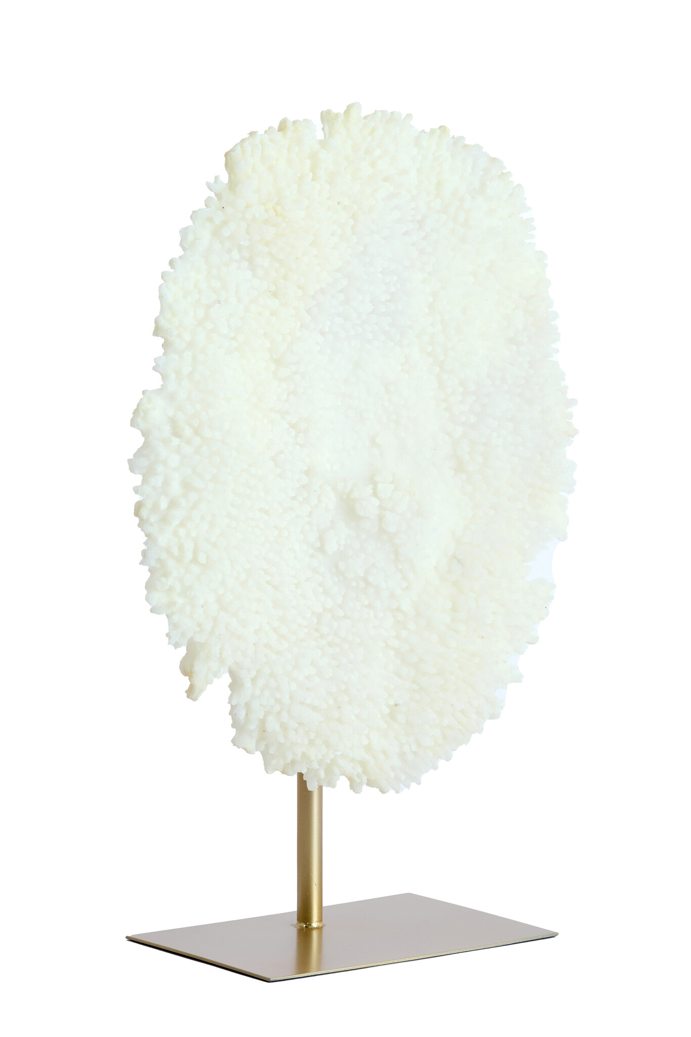 Light & Living - Ornament CORAL - 46x20x69cm - Wit