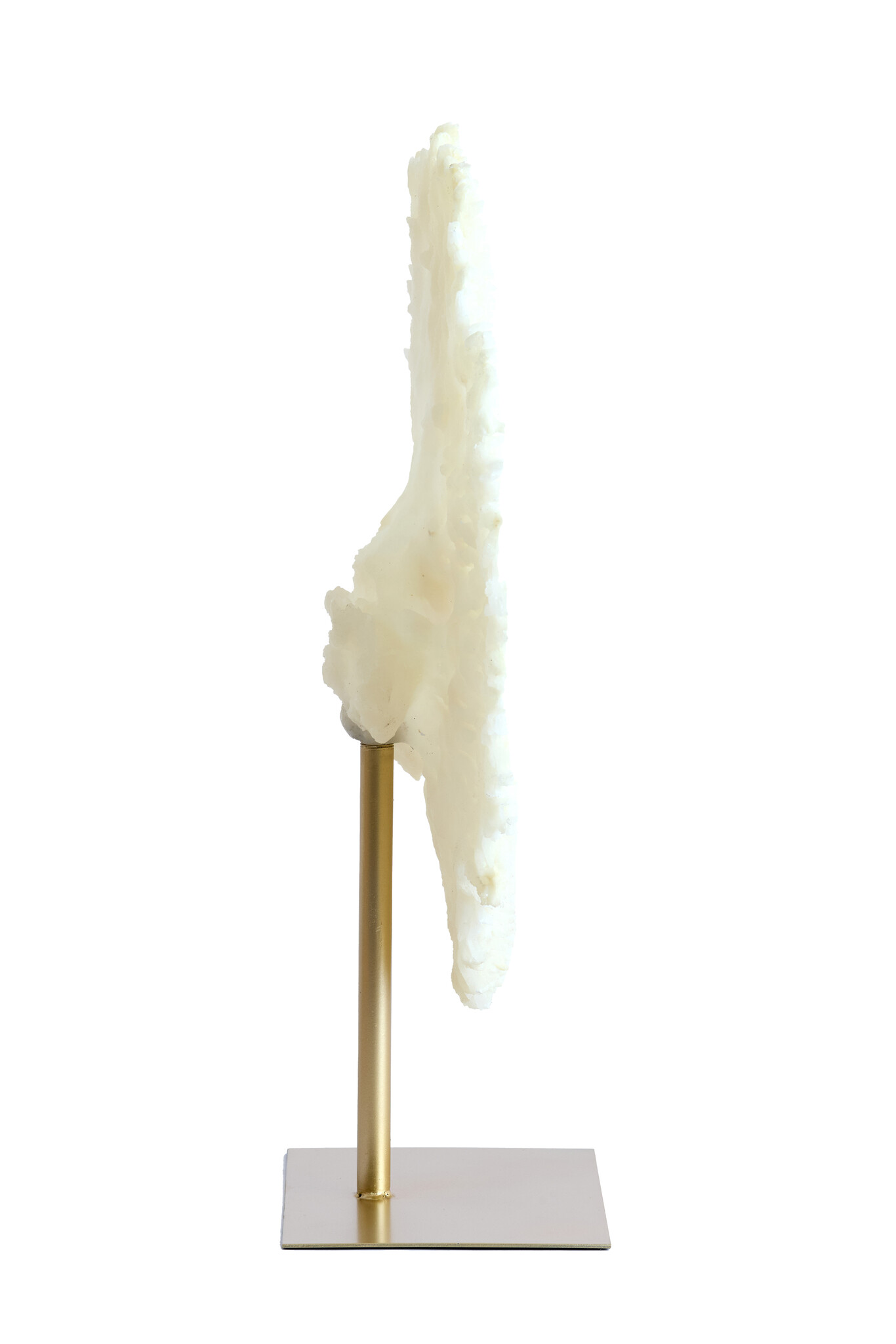Light & Living - Ornament CORAL - 46x20x69cm - Wit