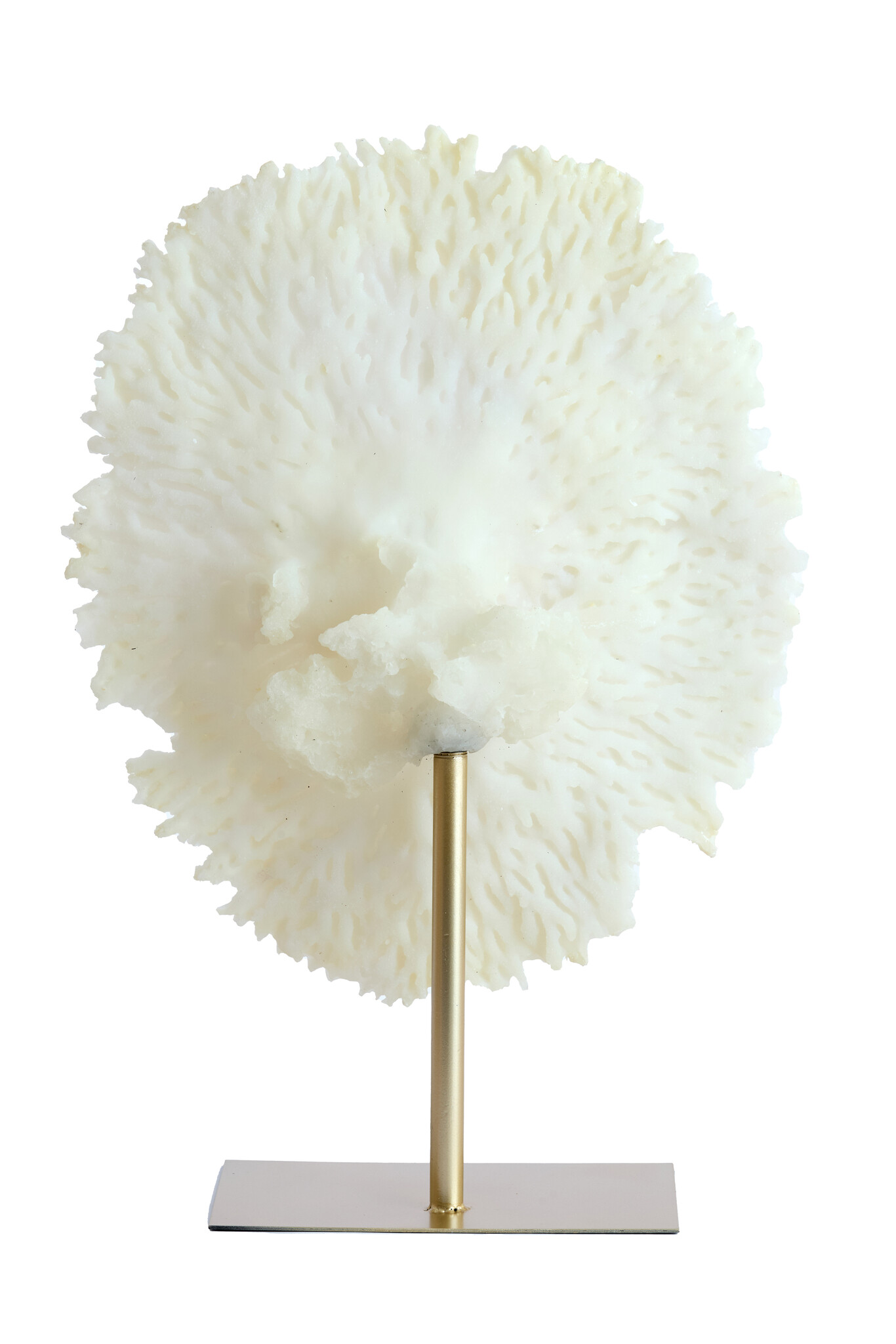 Light & Living - Ornament CORAL - 46x20x69cm - Wit