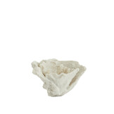 Light & Living - Ornament CORAL - 23x16x13cm - Wit
