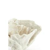 Light & Living - Ornament CORAL - 23x16x13cm - Wit