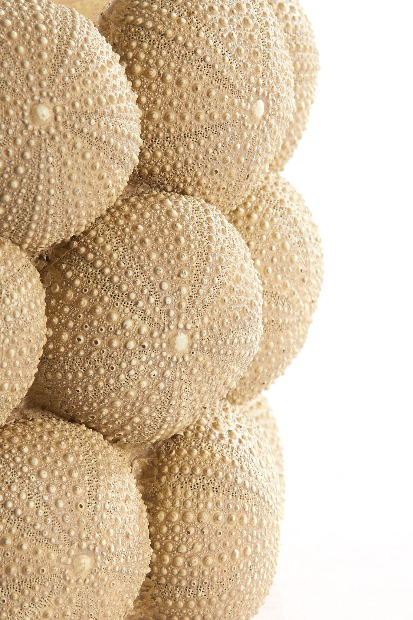 Light & Living - Vaas SEA URCHIN - Ø20.5x18cm - Bruin