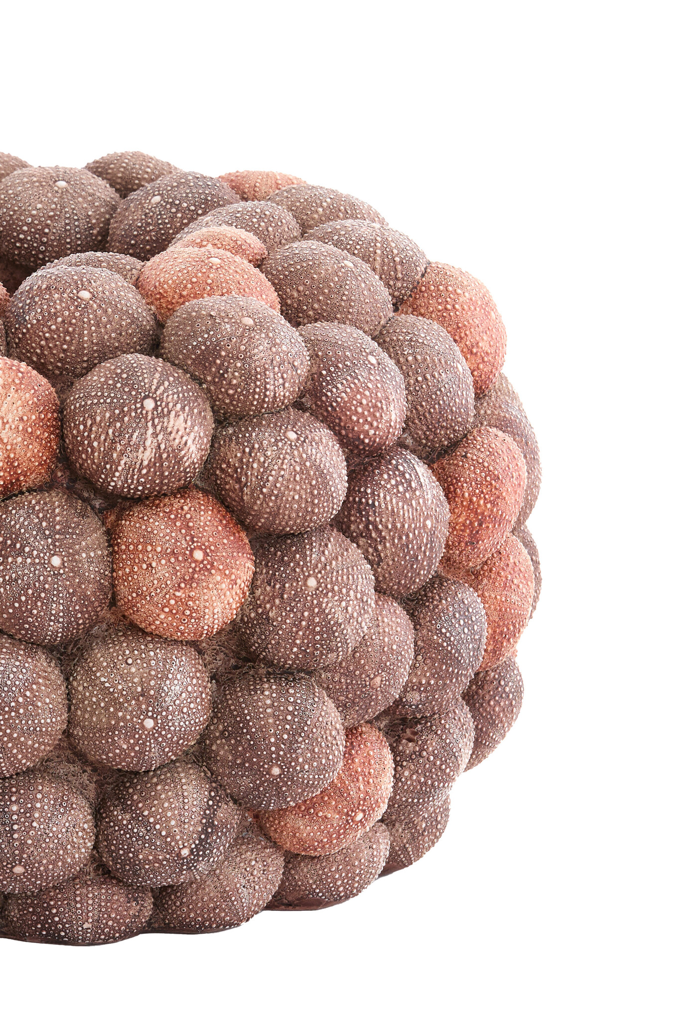 Light & Living - Vaas SEA URCHIN - Ø40x23.5cm - Rood