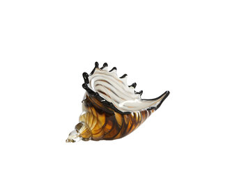 Light & Living - Ornament SHELL - 28x12x16cm - Bruin