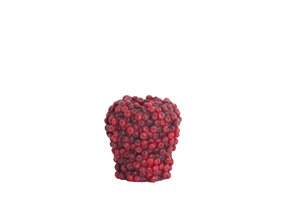Light & Living - Vaas BERRIES - Ø20x20.5cm - Rood