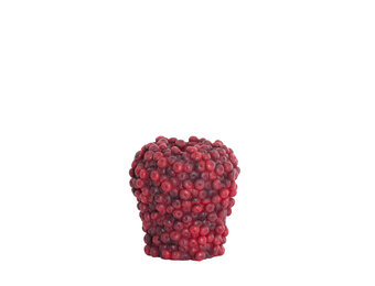 Light & Living - Vaas BERRIES - Ø20x20.5cm - Rood