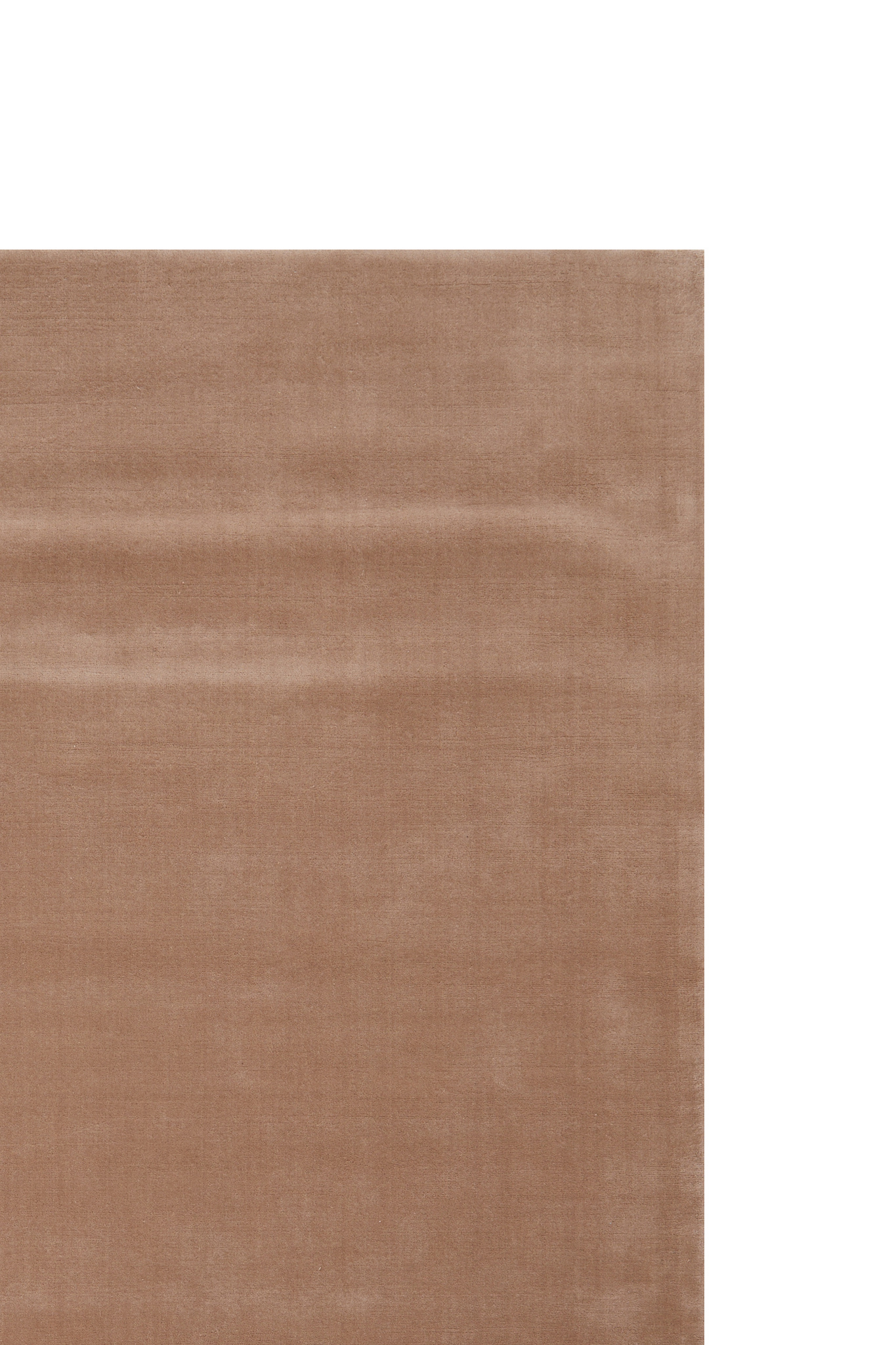 Light & Living - Vloerkleed AZUSA - 200x300x0.5cm - Bruin