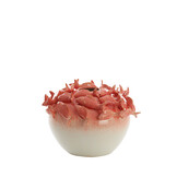 Light & Living - Vaas FISH - Ø40x27cm - Rood