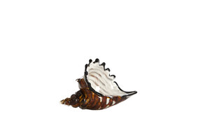 Light & Living - Ornament SHELL - 22x10x12cm - Bruin