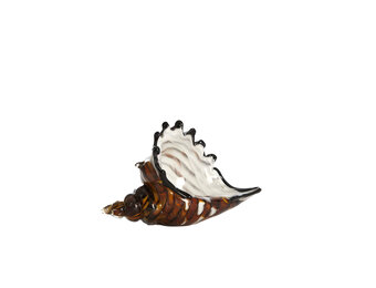 Light & Living - Ornament SHELL - 22x10x12cm - Bruin