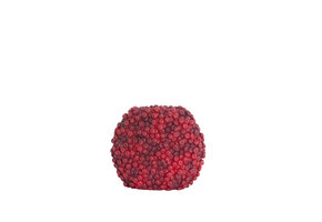 Light & Living - Vaas BERRIES - 32x18x27.5cm - Rood