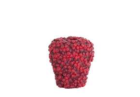 Light & Living - Vaas BERRIES - Ø25x25cm - Rood