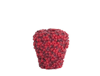Light & Living - Vaas BERRIES - Ø25x25cm - Rood