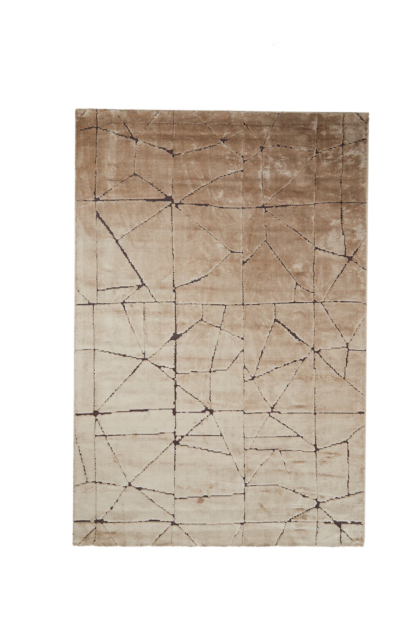 Light & Living - Vloerkleed DACULA - 200x300x0.5cm - Bruin