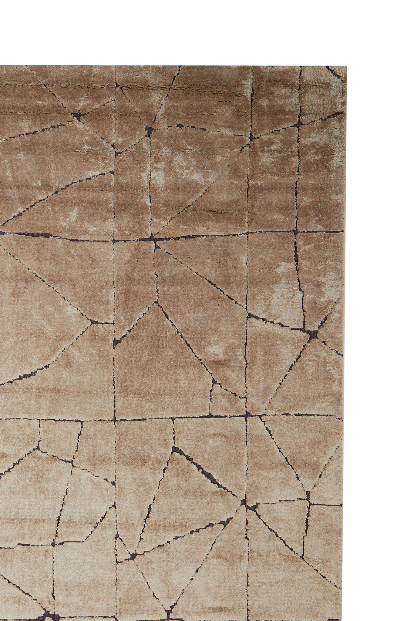 Light & Living - Vloerkleed DACULA - 200x300x0.5cm - Bruin