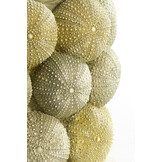 Light & Living - Vaas SEA URCHIN - Ø20.5x18cm - Groen