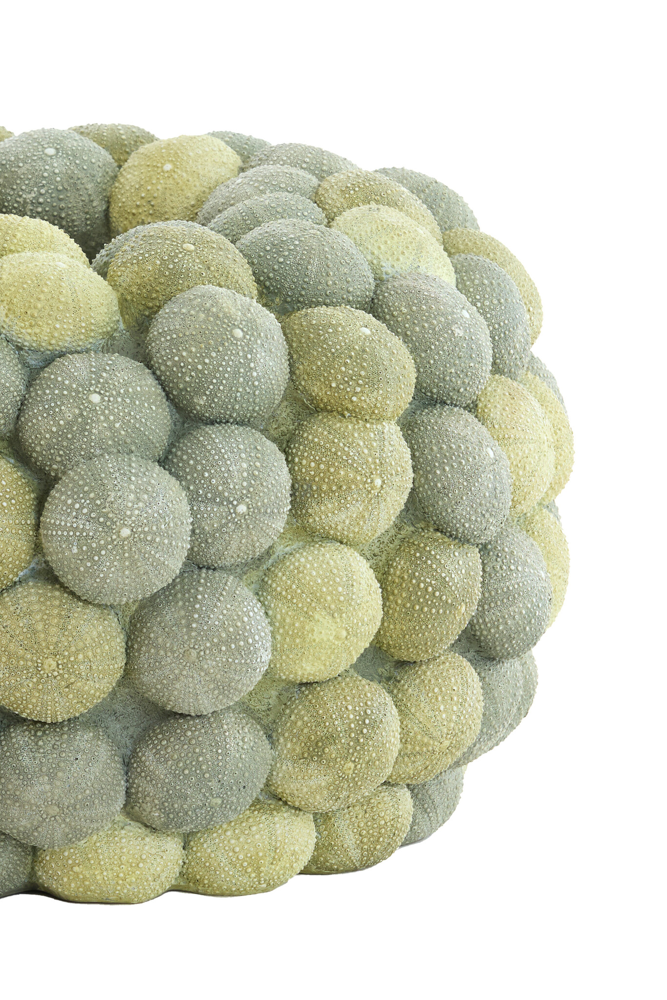Light & Living - Vaas SEA URCHIN - Ø40x23.5cm - Groen