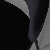 LABEL51 Eetkamerstoel Bliss - Zwart - Fluweel - set van 2