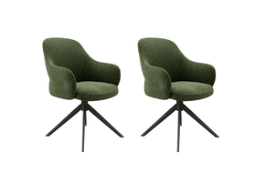 LABEL51 - Eetkamerstoel Bern - Groen - 66x61x91cm - Set van 2