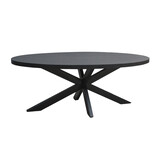 Livingfurn - Eetkamertafel Kala  Oval Spider 160cm - Mangohout / Gecoat Staal