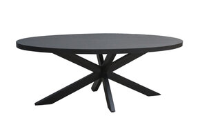 Livingfurn - Eetkamertafel Kala  Oval Spider 160cm - Mangohout / Gecoat Staal