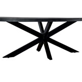 Livingfurn - Eetkamertafel Kala  Oval Spider 160cm - Mangohout / Gecoat Staal