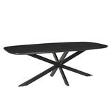 Livingfurn - Eetkamertafel Jesper Danish Oval Black 180cm - Mangohout / Gecoat Staal