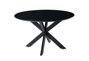 Livingfurn - Ronde Eetkamertafel Oslo Zwart - Spider Tafelpoot - Van Acasia Hout en Gecoat Staal - 120 cm