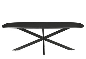 Livingfurn - Eetkamertafel Jesper Danish Oval Black 210cm - Mangohout / Gecoat Staal