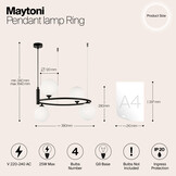 Maytoni - Hanglamp Ring - Zwart