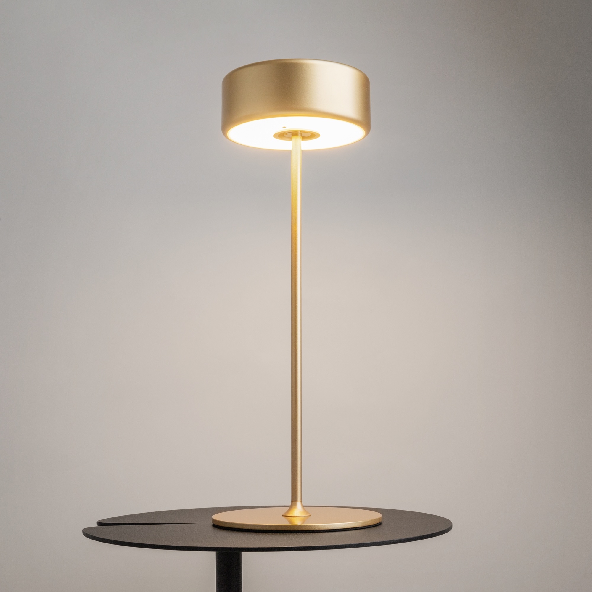 Maytoni - Batterijlamp AI Collaboration - Goud - Ø12