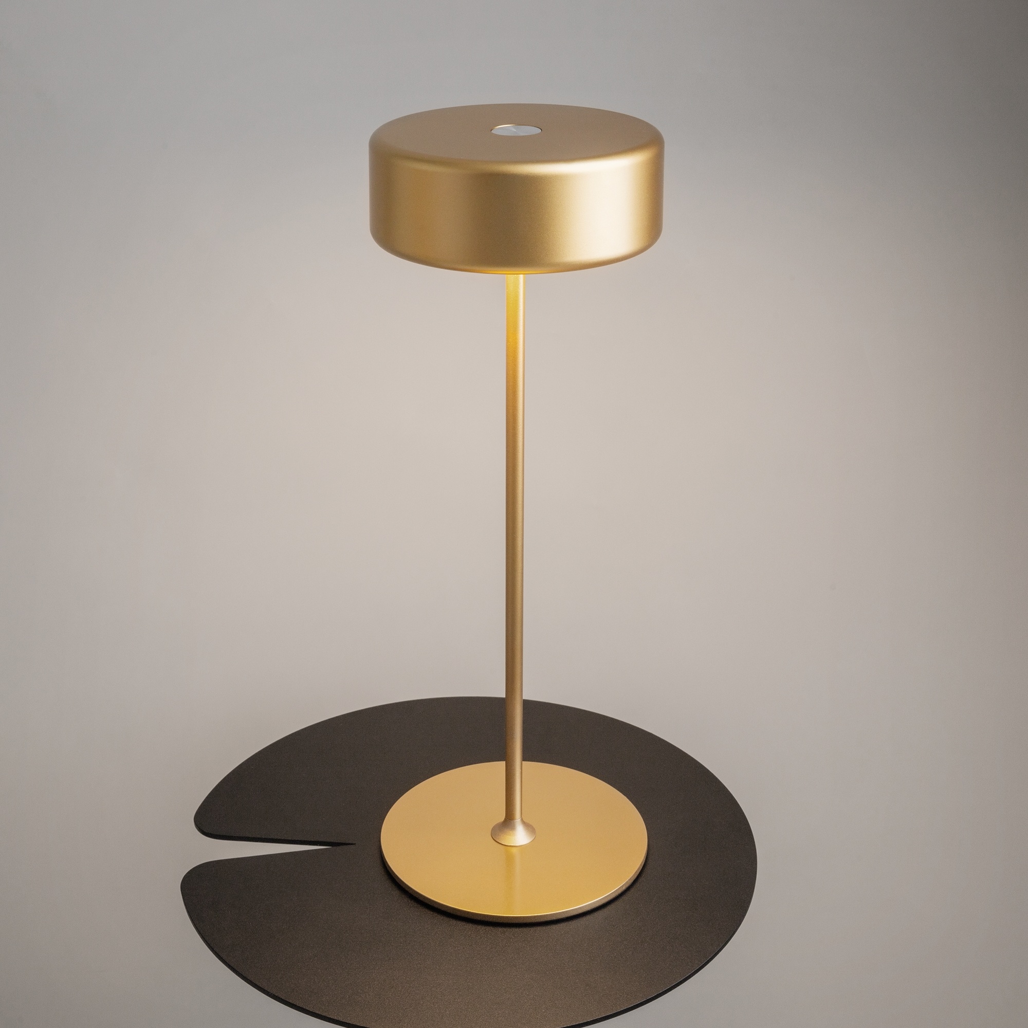 Maytoni - Batterijlamp AI Collaboration - Goud - Ø12