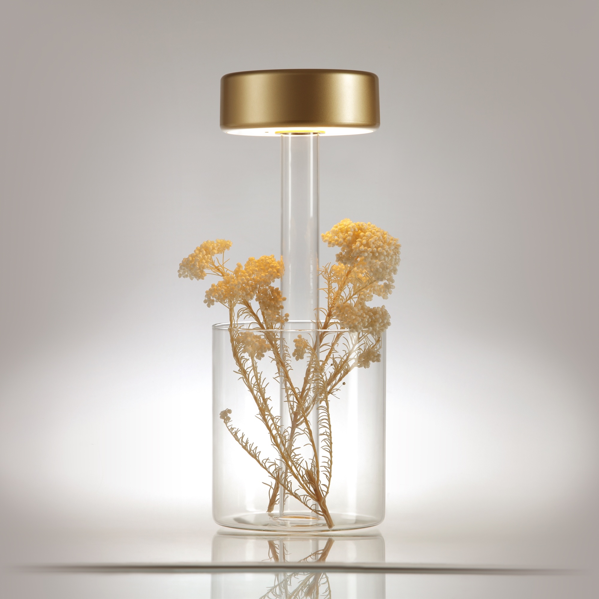 Maytoni - Batterijlamp AI Collaboration - Goud - Ø12