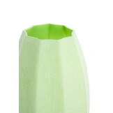 Light & Living - Vaas BRADLEY - Ø23x38 cm - Groen