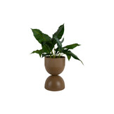 Present Time - Bloempot Tonar Medium - Mocha brown
