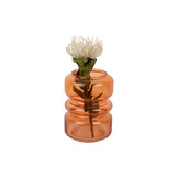 Present Time - Vaas Maravillo - Helderoranje