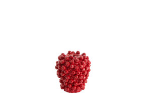 Light & Living - Vaas BERRIES - Ø20x22.5 cm - Rood