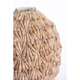 Light & Living - Vaas SHELL - Ø20.5x21.5 cm - Bruin