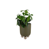 Present Time - Bloempot Estilo Large - Luxury green