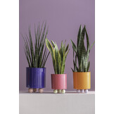 Present Time - Bloempot Double Funky Medium - Bright orange & purple