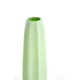 Light & Living - Vaas BRADLEY - Ø17x60 cm - Groen