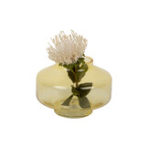 Present Time - Vaas Pasmoso - Mango yellow