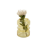 Present Time - Vaas Maravillo - Mango yellow